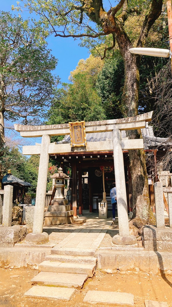 �G���喾�_